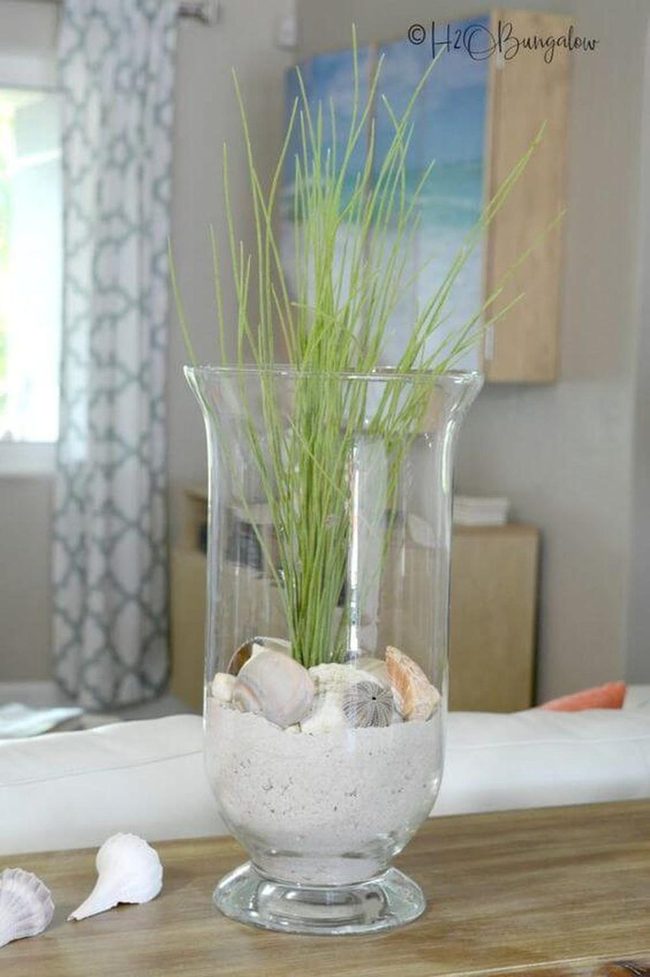 Layered Glass Sand & Shells