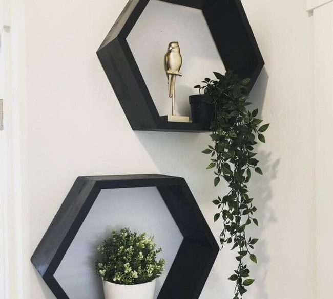 Black Hexagons, White Walls, Green Life