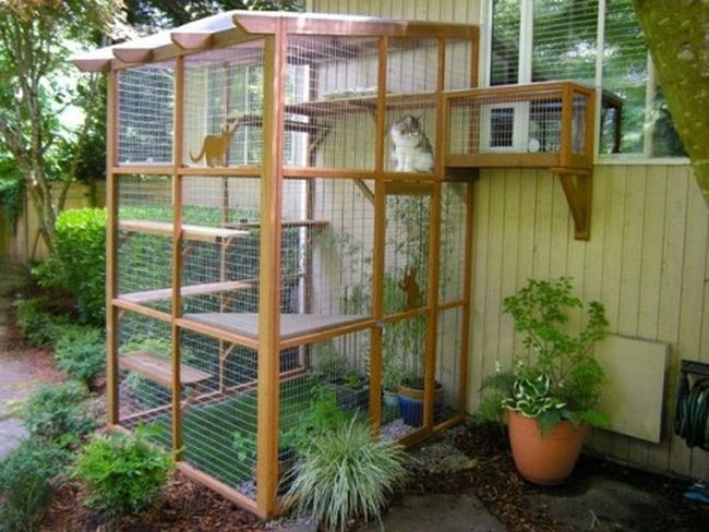 Wooden Multi-Level Cat Climber