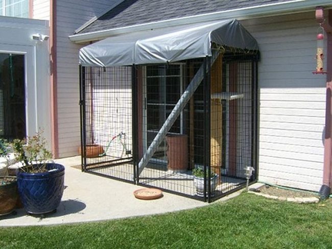 Secure Metal Cat Enclosure