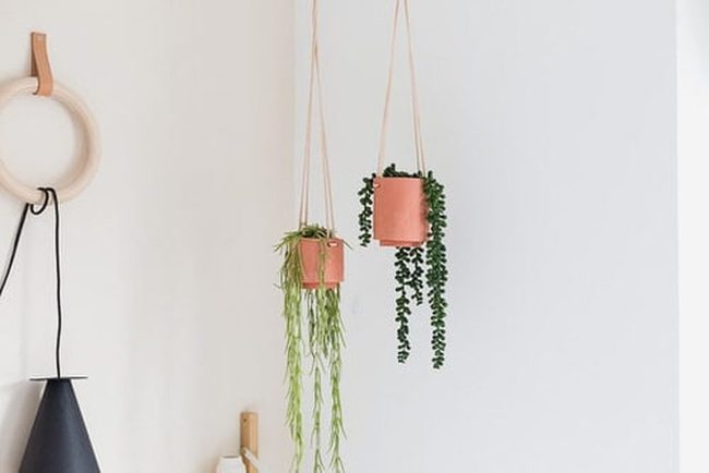 Terracotta Rope Hanging Planters