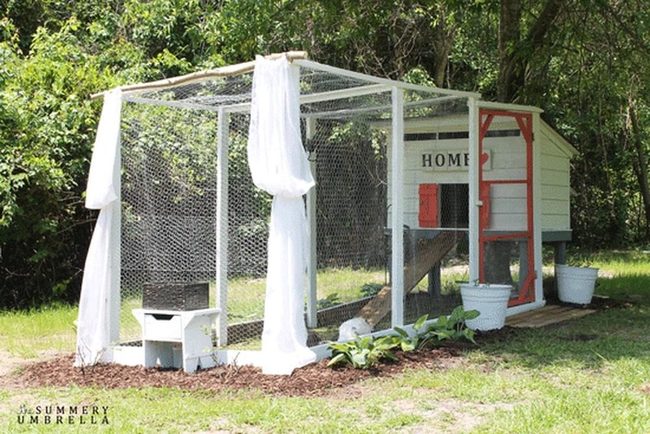 Red And White Chicken Haven