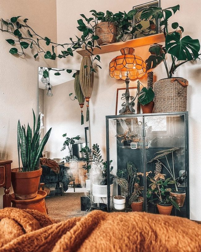Glass Shelves With Living Greenery