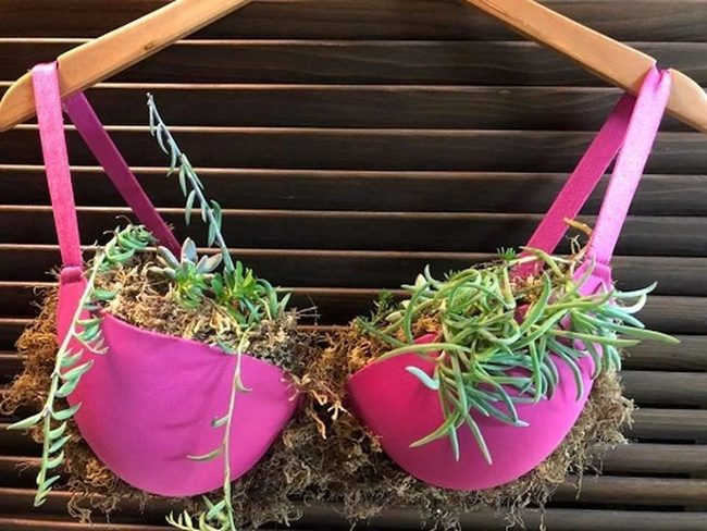Pink Bras, Cascading Botanicals