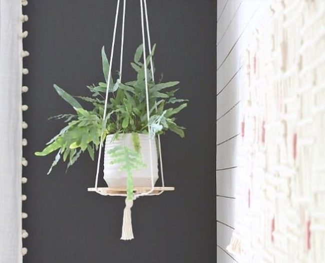 Rope-Hung Wood Plant Shelves