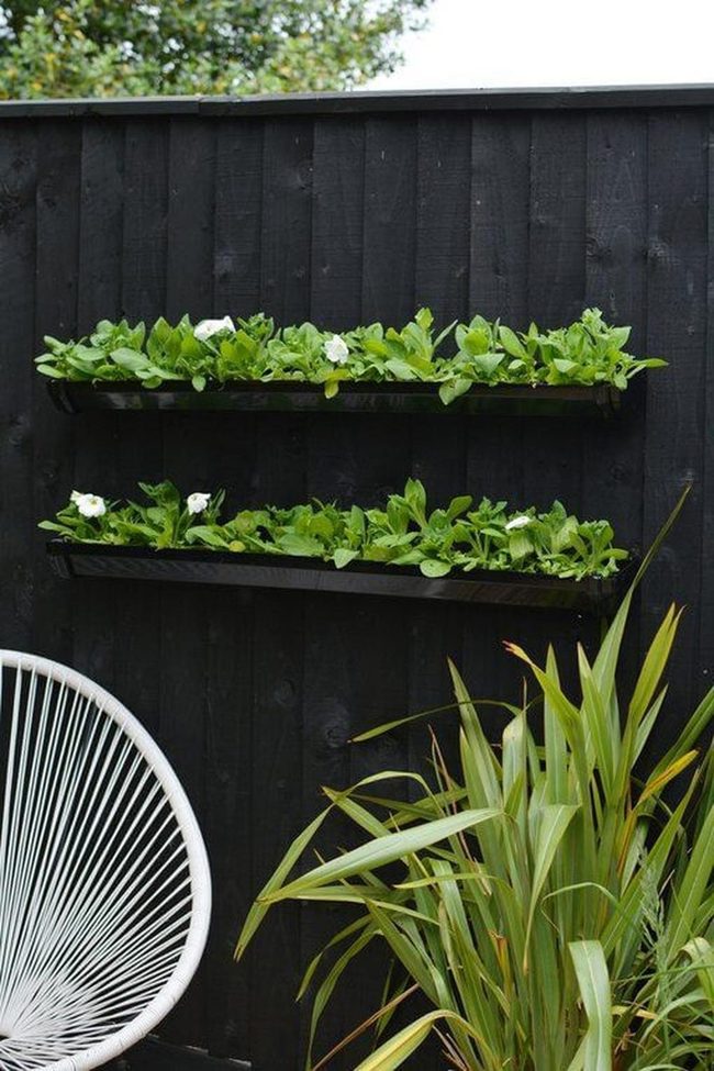 Black Shelves, Green Abundance