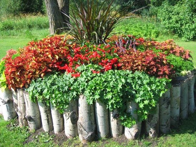 Birch Log Garden Borders