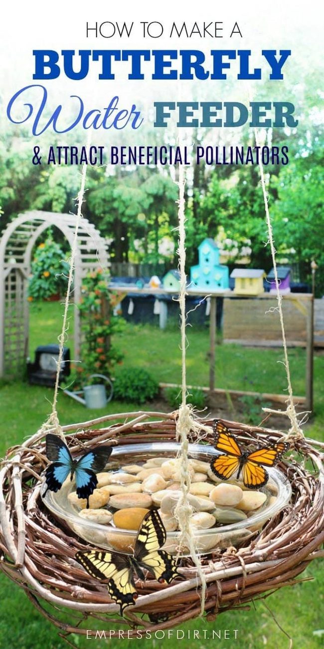 Butterfly Water Feeder Garden