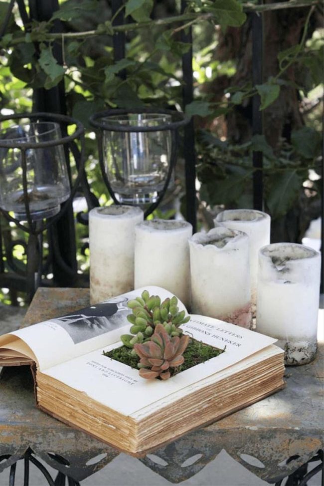 Weathered Pages, Living Green