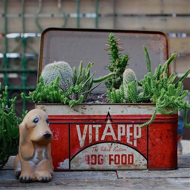 Vintage Metal Planters Bloom