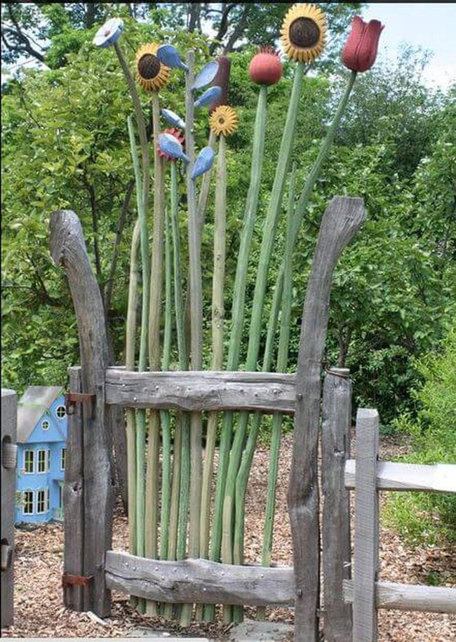 Giant Blooms Over Wood Gate
