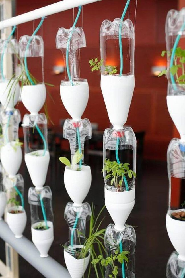 Glass Bottle Vertical Garden