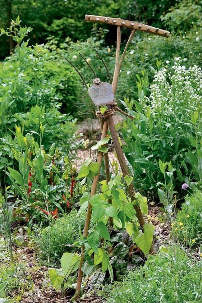 Vintage Tools Climbing Vine Trellis