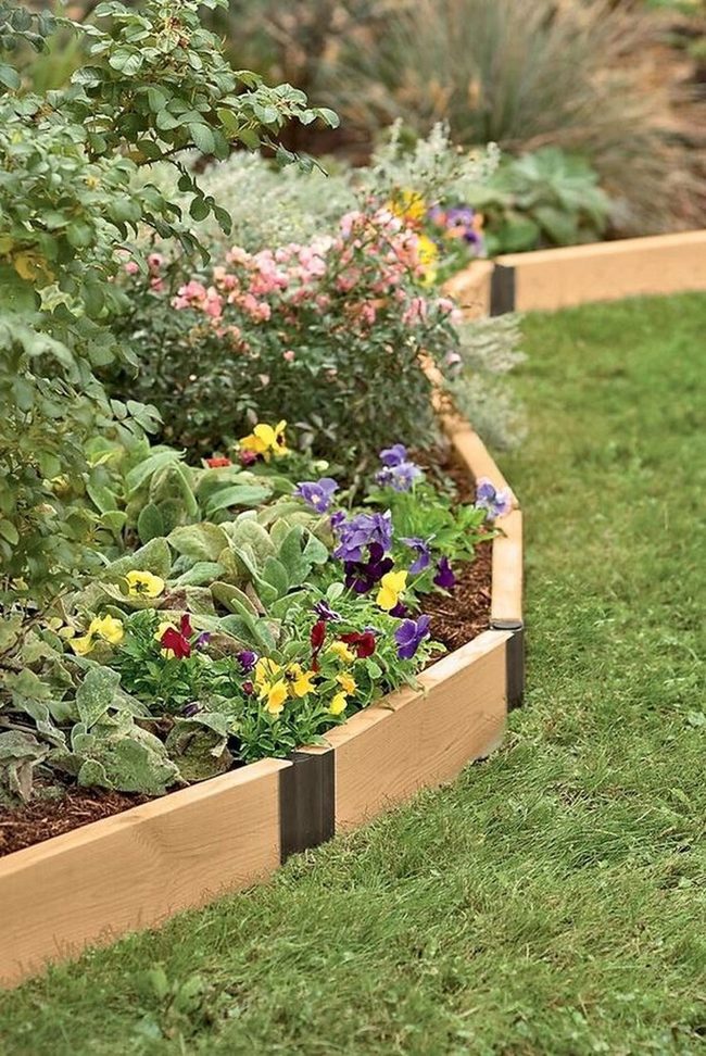 Raised Beds Bursting Yellow And Purple