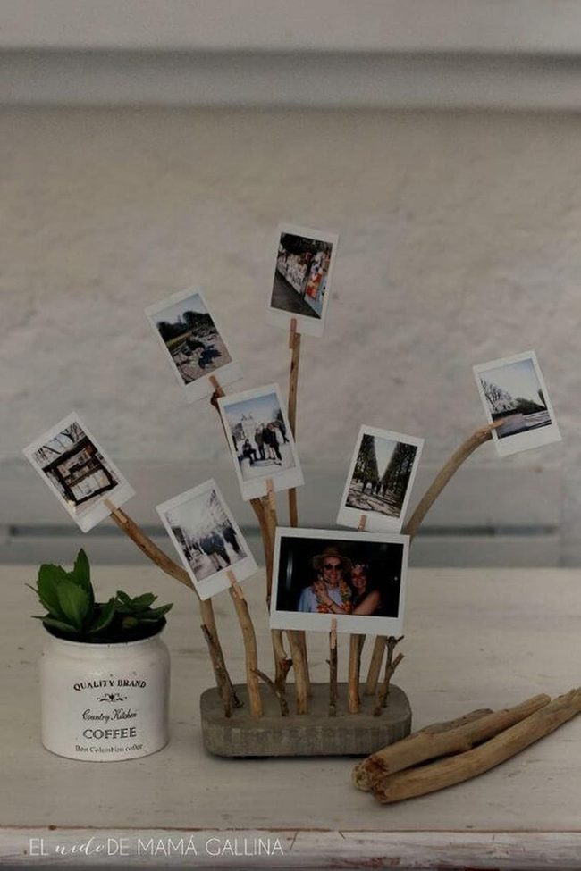 Polaroid Memories With Branch Accents
