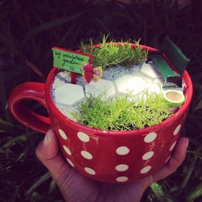 Teacup Garden With Tiny Furniture
