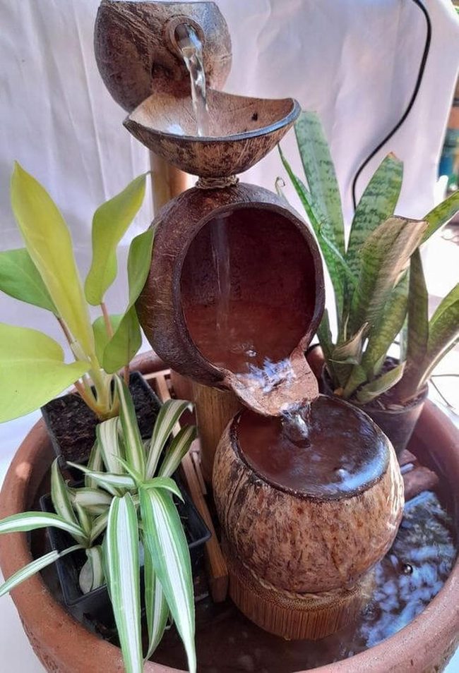 Coconut Shells, Flowing Water
