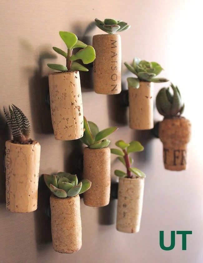 Cork Wall Herb Gardens