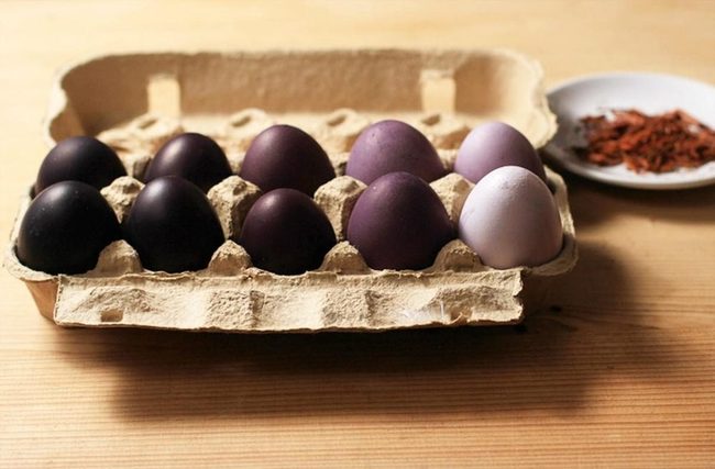Purple Eggs, White Standout
