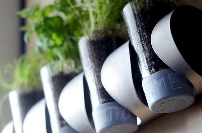 Kitchen Wall Herb Garden