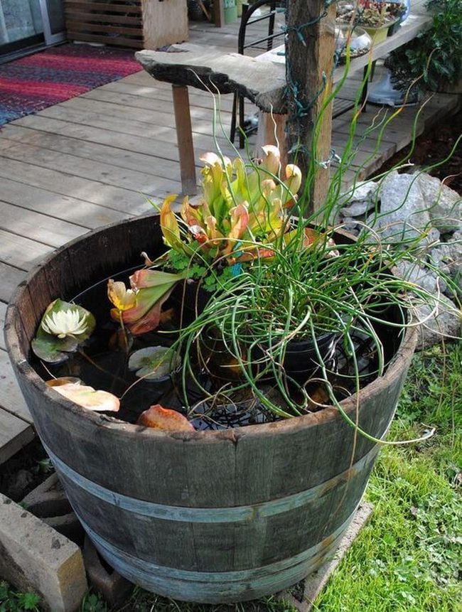 Wooden Barrel Water Garden