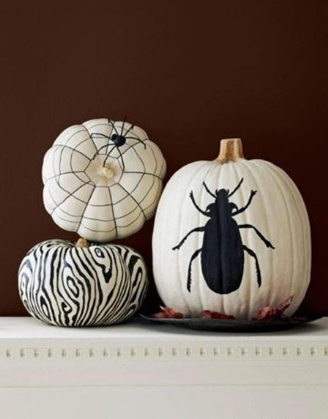 White Pumpkins On Brown Minimalism