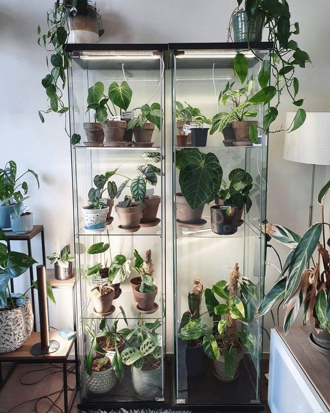 Grow Lights Beyond Cabinet Walls