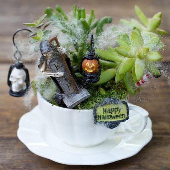 Teacup Succulent Halloween Garden