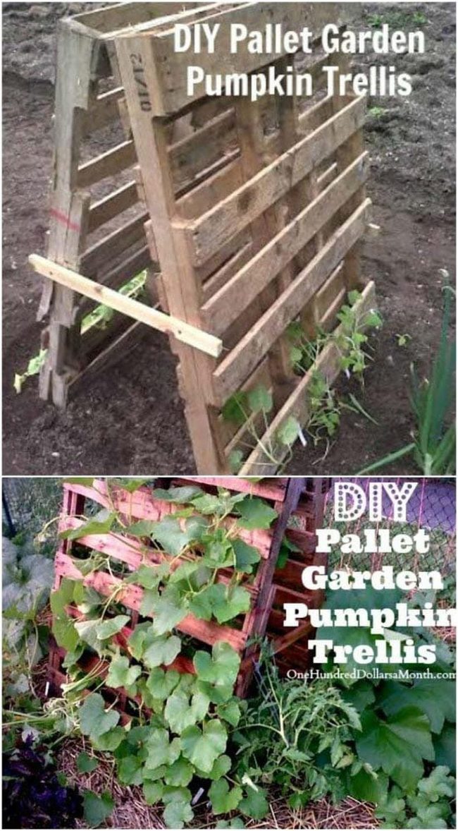Pallet Tent Pumpkin Cascade