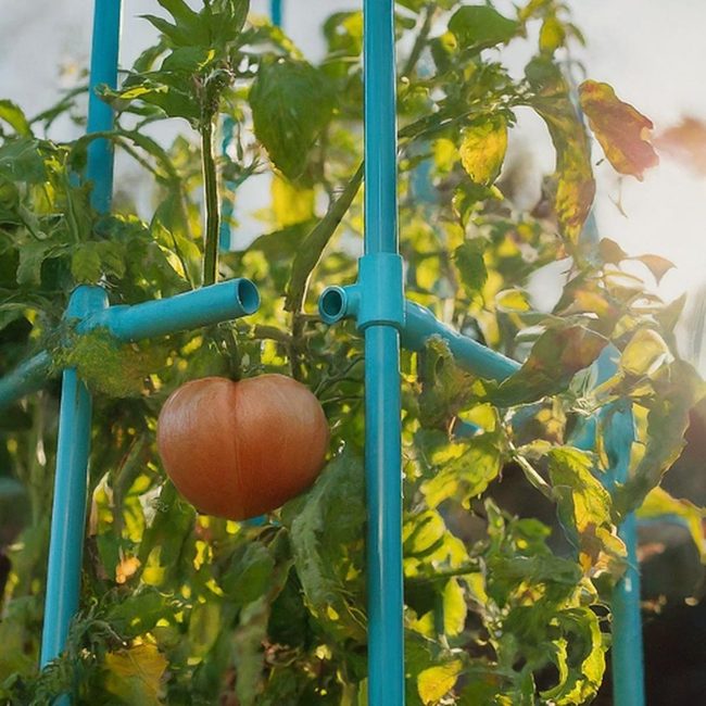 Copper Pipe Tomato Cage