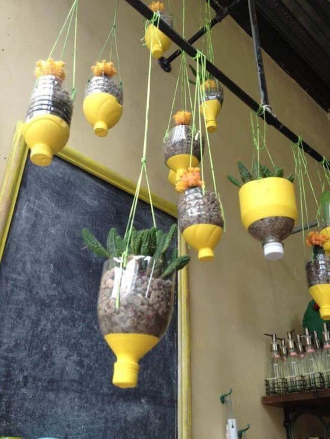 Yellow Hanging Planters, Living Walls