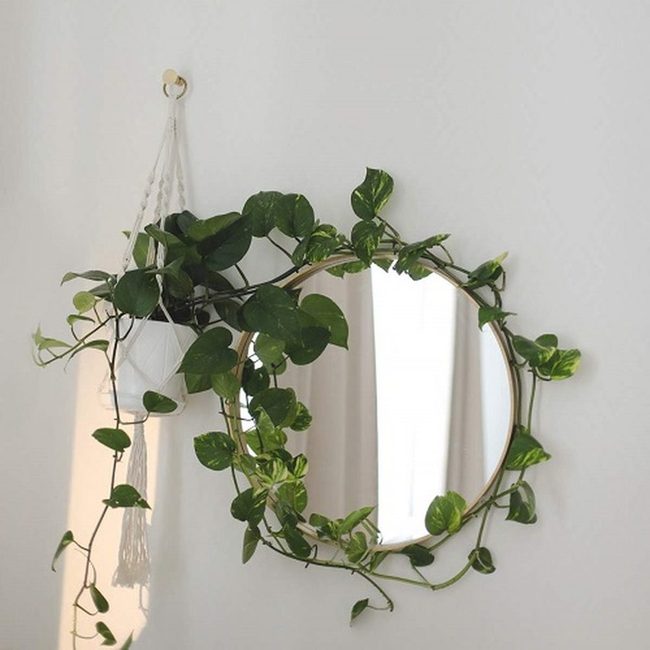 Green Vine Mirror Frame