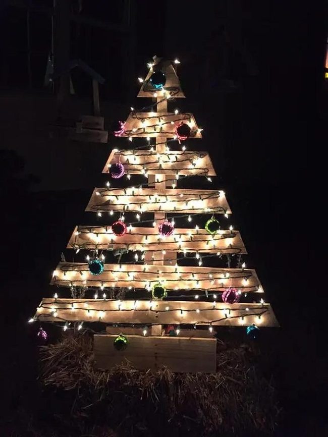 Wooden Trees, Glowing Lights