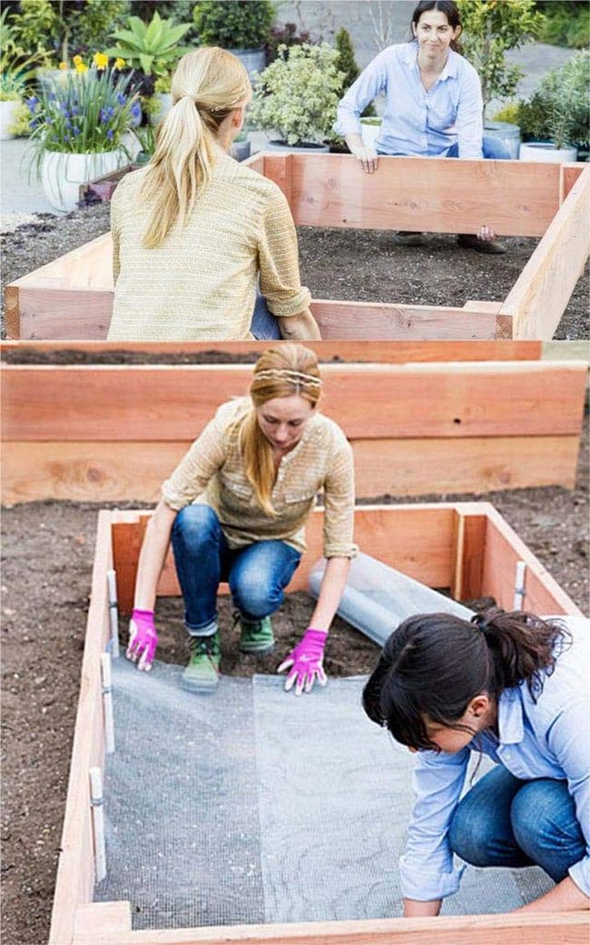 Wooden Raised Bed With Pest Barrier