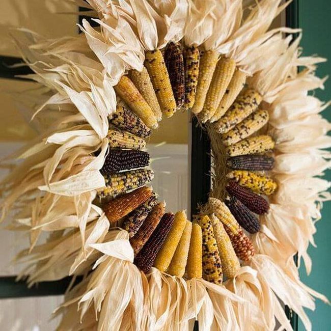Golden Corn Husk Harvest