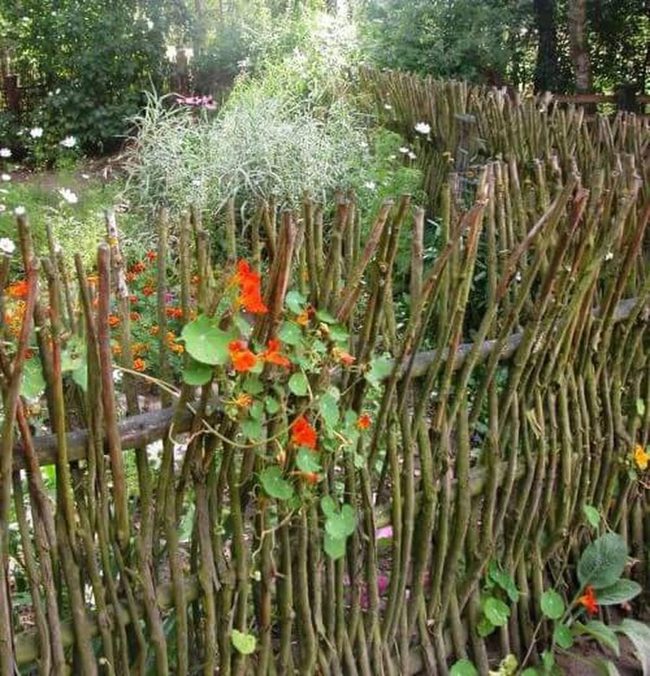 Branches And Blooms Boundary