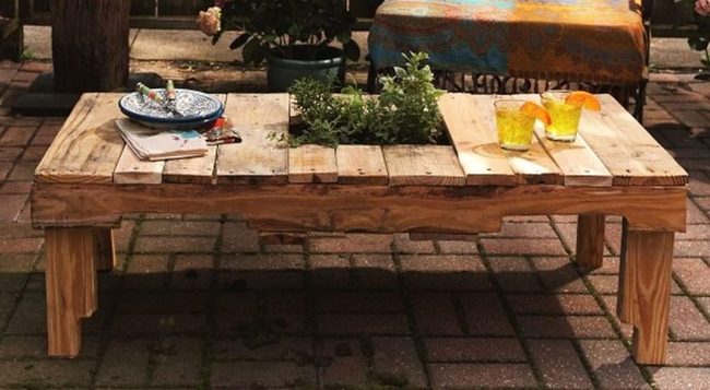 Yellow Drinks, Green Plants, Wooden Table