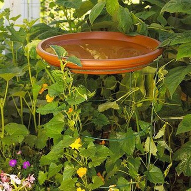 Terracotta Birdbath, Living Garden Centerpiece
