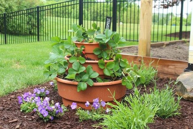 Terracotta Tiers For Blooms