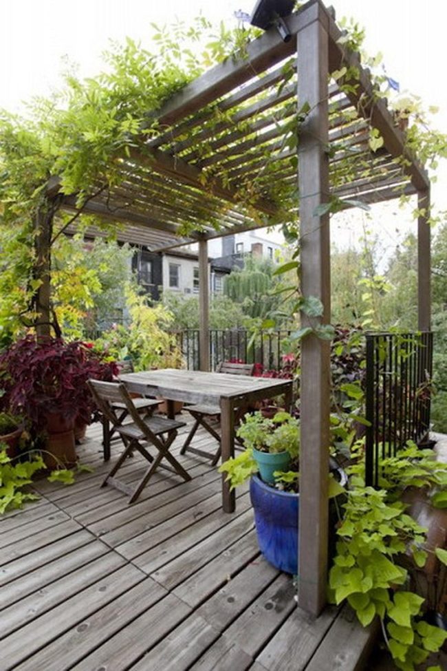 Green Vines, Dappled Light