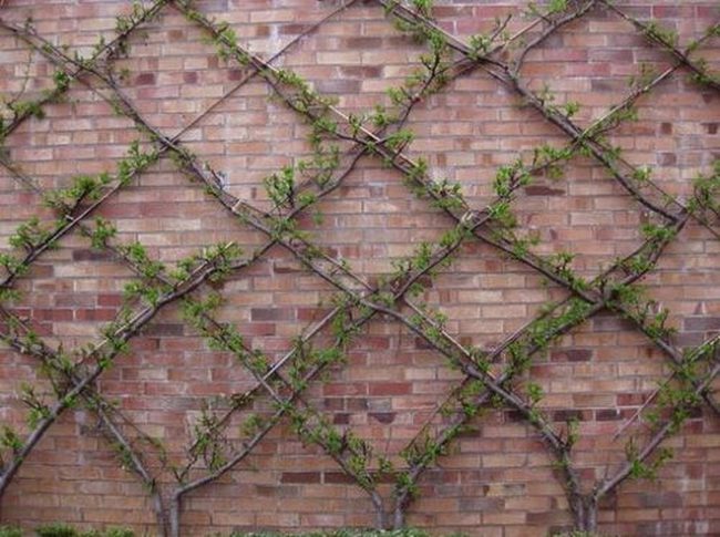 Vertical Green Canvas
