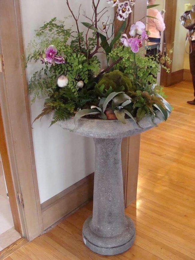 Planted Birdbath, Living Garden Focal Point