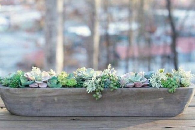 Green Faux Succulents, Zero Maintenance