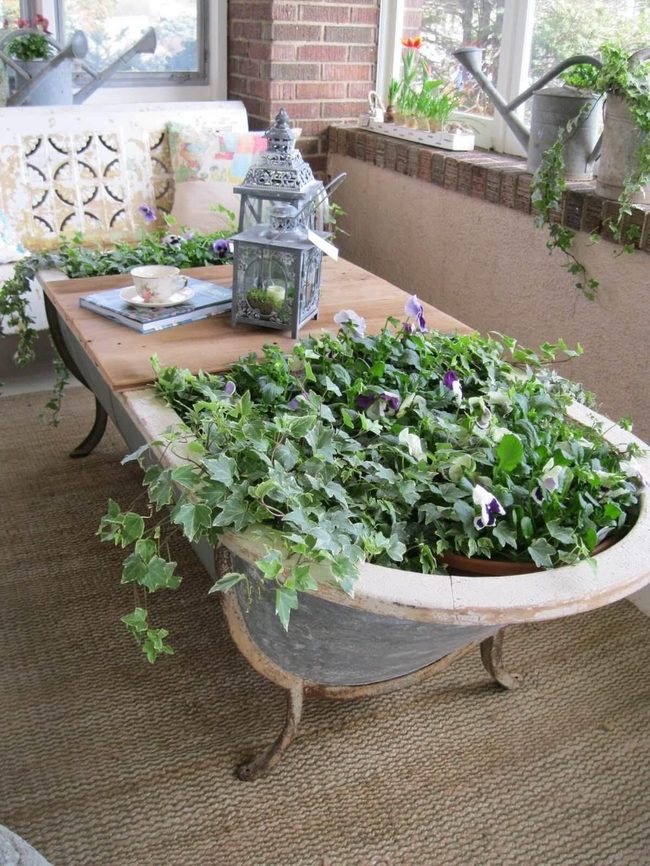 Rust Iron Pansy Planter