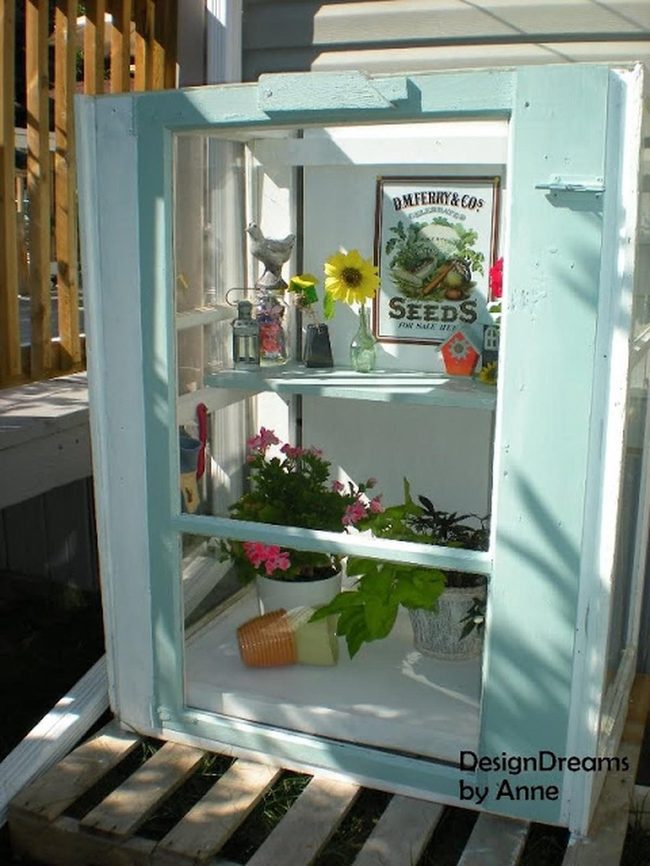 Sunlit Blue Window Garden