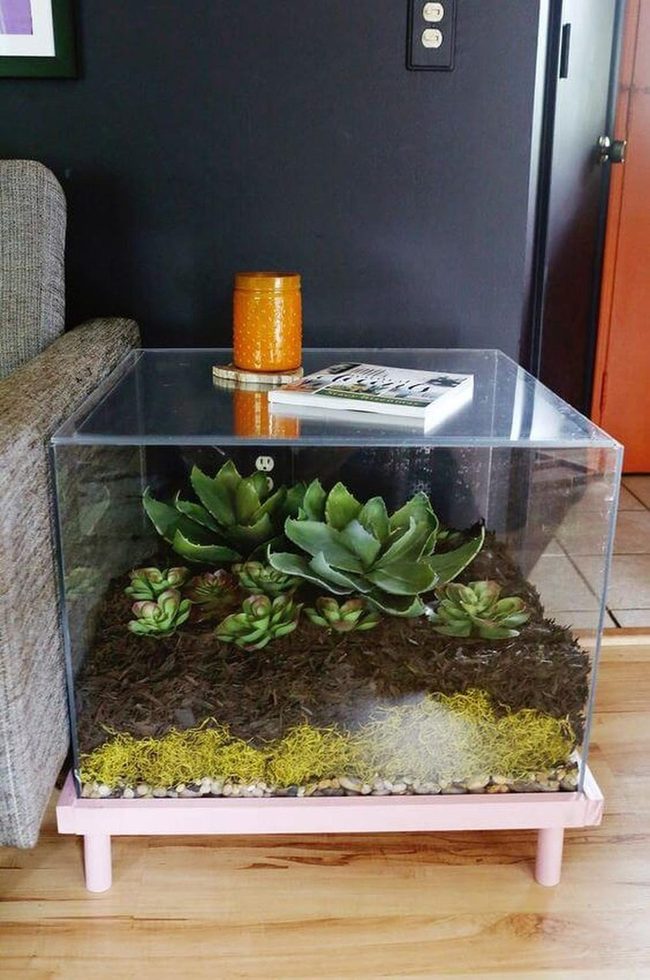 Glass Succulent Terrarium Display