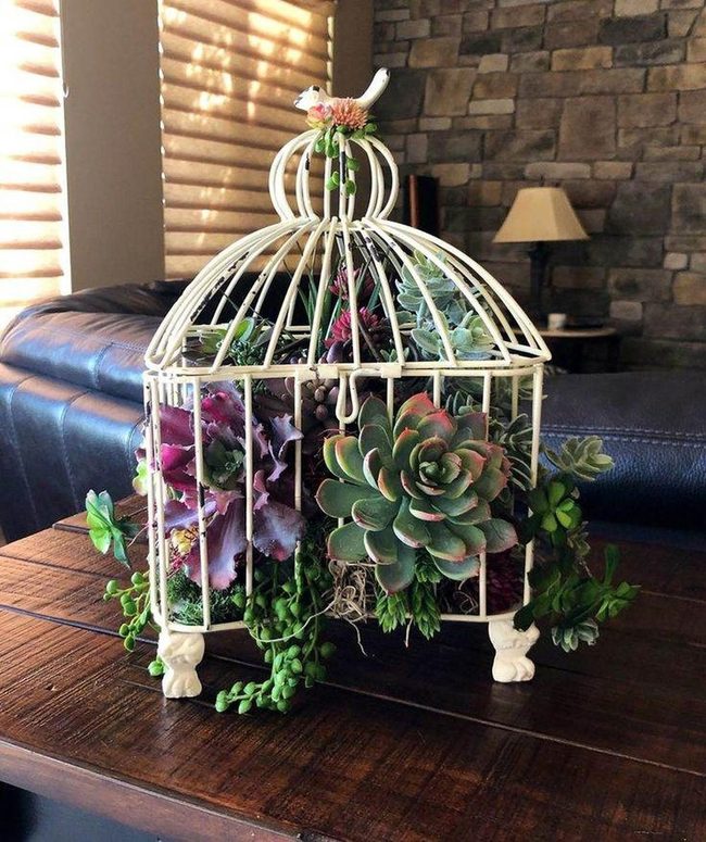 Vintage Birdcage Succulent Tower