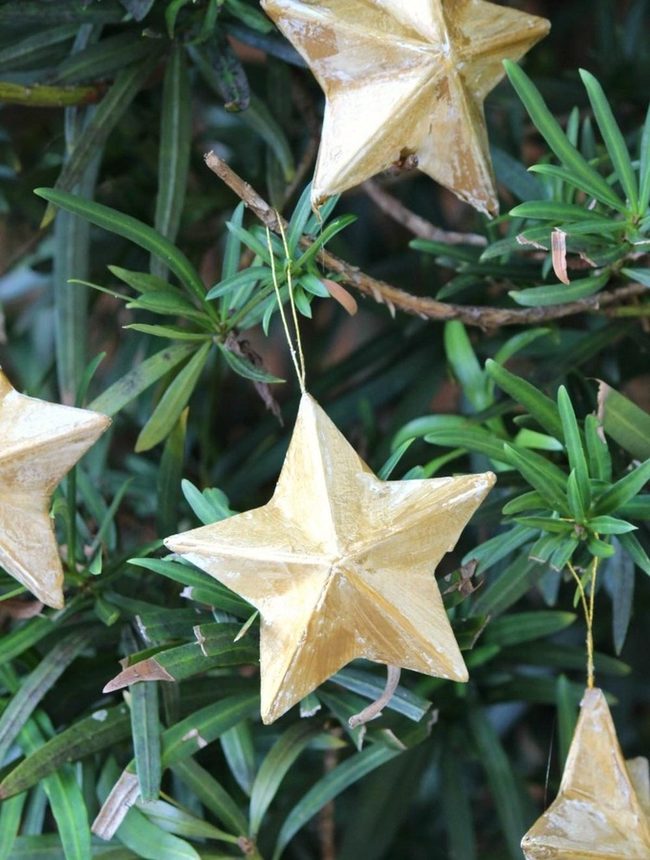Golden Stars Among Green Branches