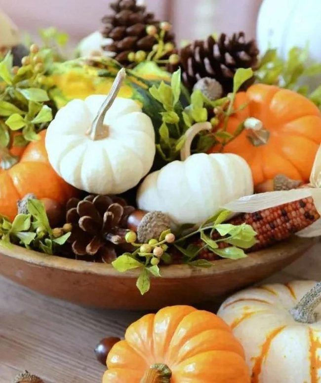 Orange And White Pumpkins With Pinecones