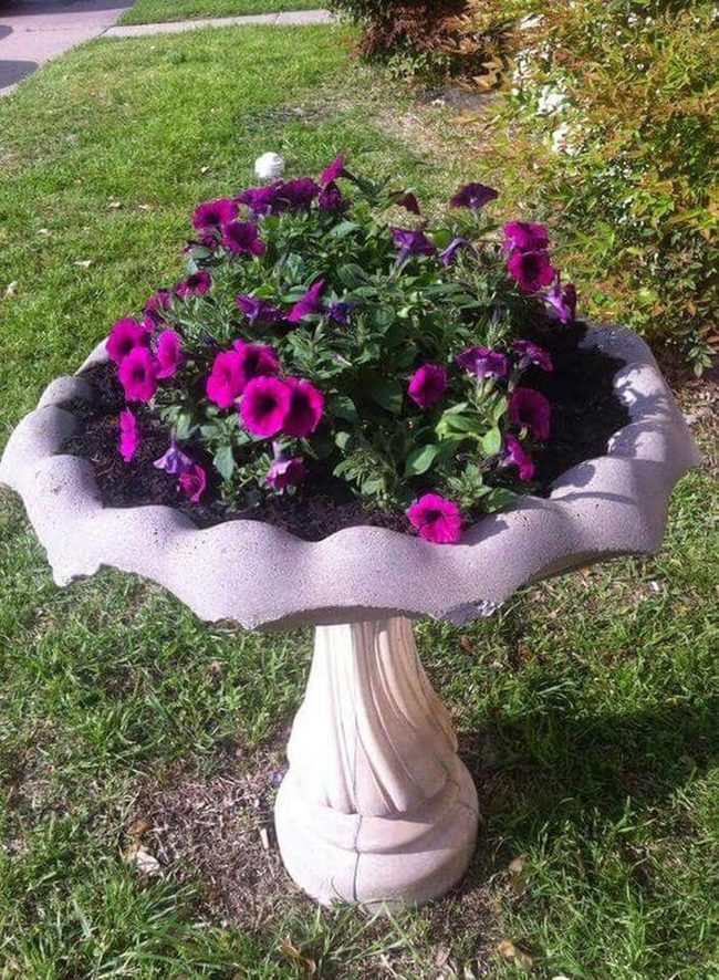 Blooming Birdbath Garden Planter